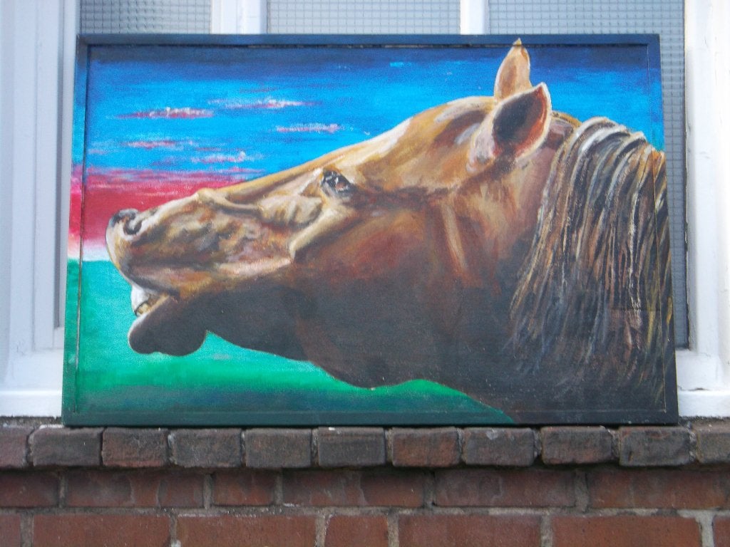 Paardenhoofd, Ophalen of Verzenden, Dieren, Overige ondergronden