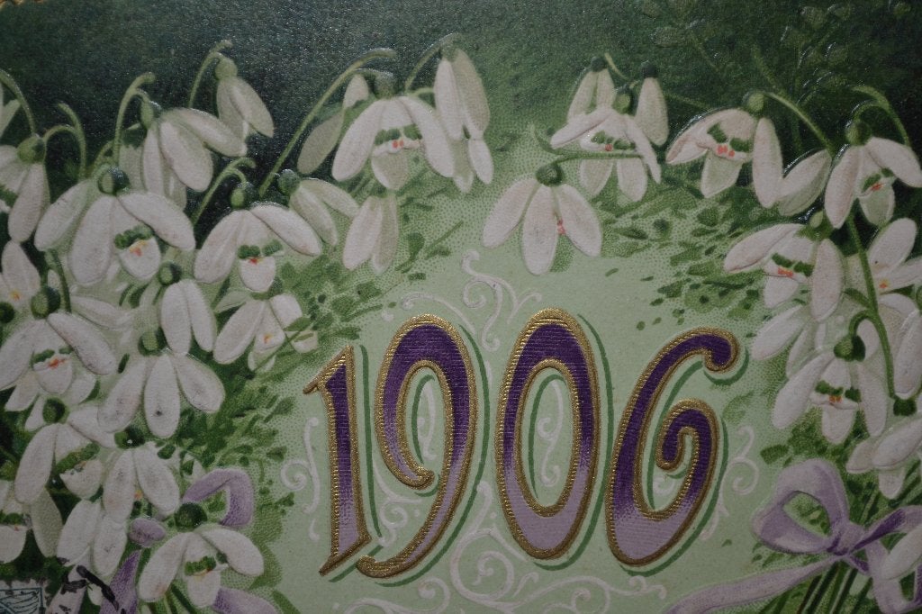 frankrijk relief 1906 nieuwjaar sneeuwklokjes, Ophalen of Verzenden, Voor 1920, Gelopen, Sterren en Beroemdheden