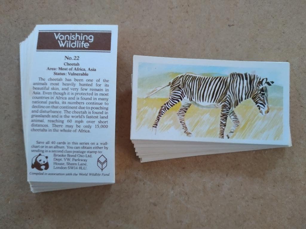 Vanishing Wildlife complete set 40 tea cards dieren 1978, Verzamelen, Ophalen, Zo goed als nieuw
