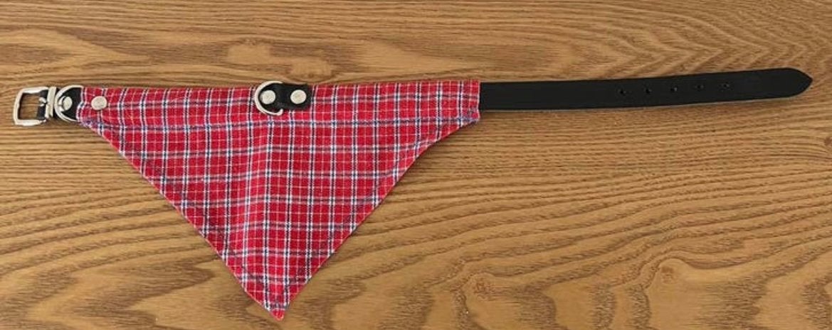 Hondenhalsbandje met bandana Nieuw!, Ophalen of Verzenden, Nieuw