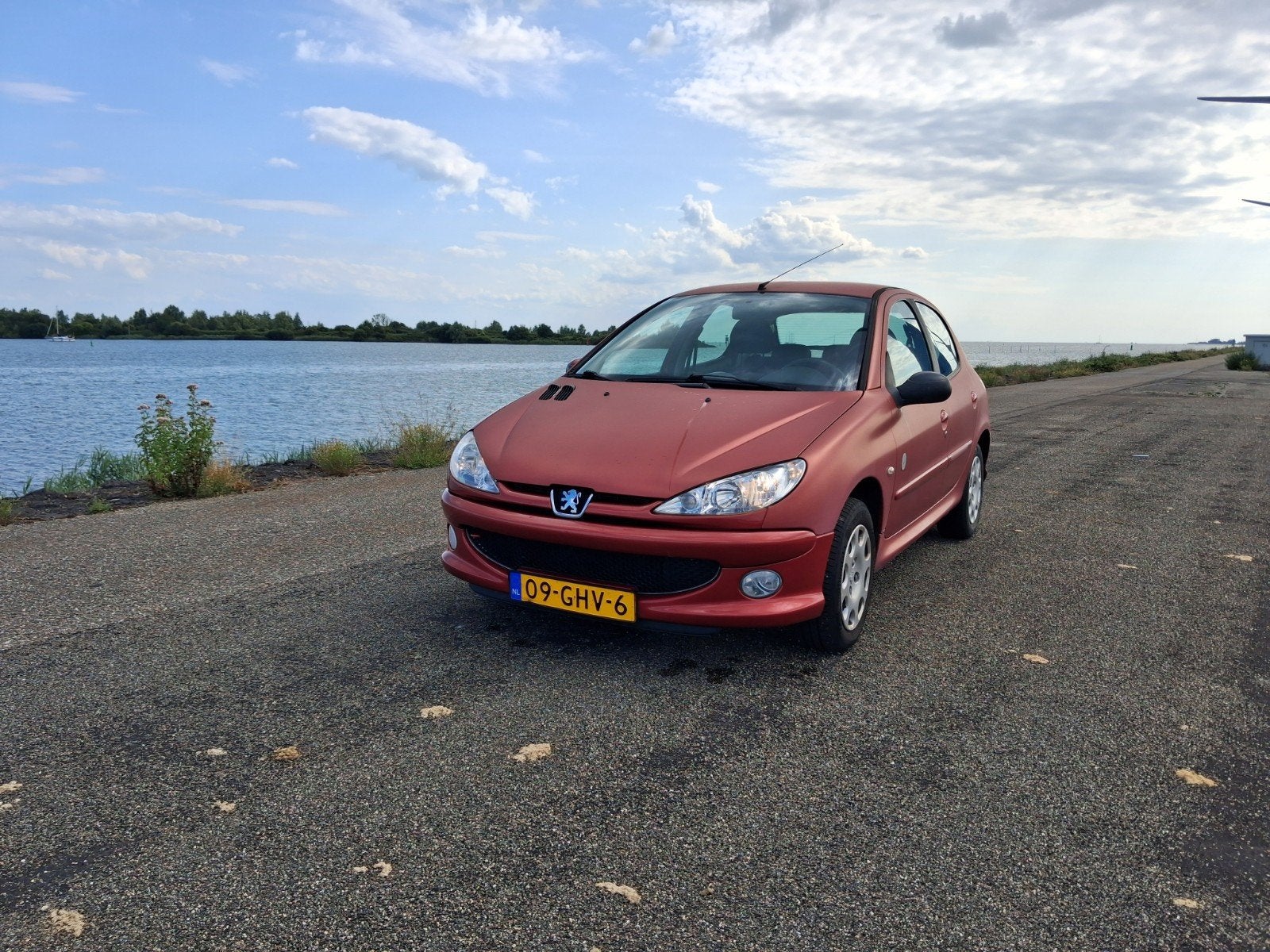 Peugeot 206 1.4 5D 2008 Rood, Voorwielaandrijving, 31 €/maand, 4 cilinders, Origineel Nederlands