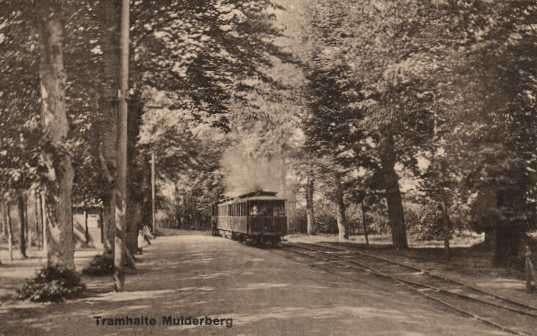 Muiderberg - Tramhalte met stoomtram, Ophalen of Verzenden, Voor 1920, Gelopen, Noord-Holland