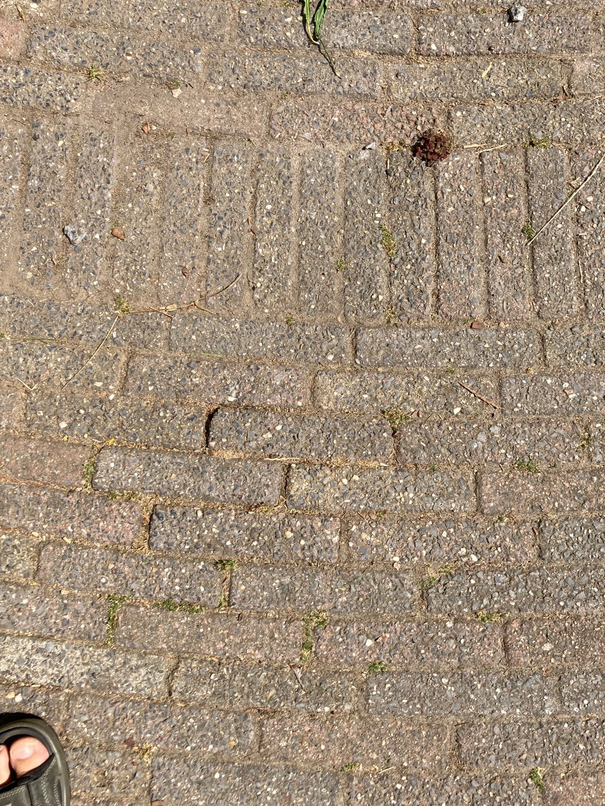 Walformaat steentjes ongeveer 60m2, Tuin en Terras, Tegels en Klinkers, Ophalen, Zo goed als nieuw, Beton, Klinkers