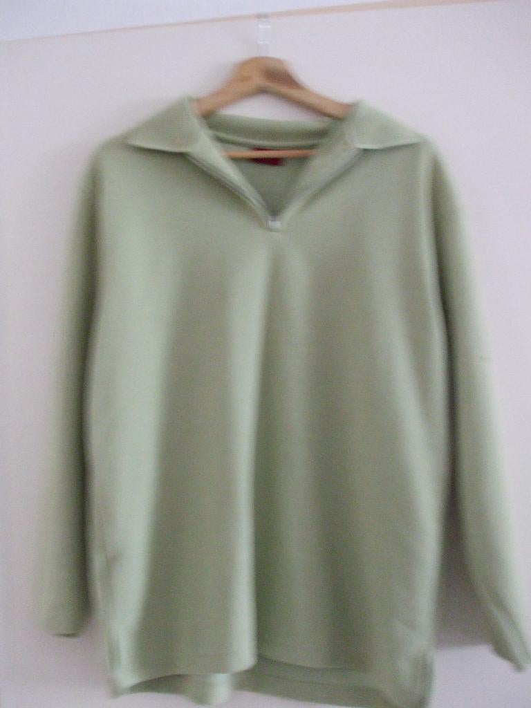 Te koop nieuwe trui.(1)., Maat 38/40 (M), Nieuw, Ophalen of Verzenden, Biaginni
