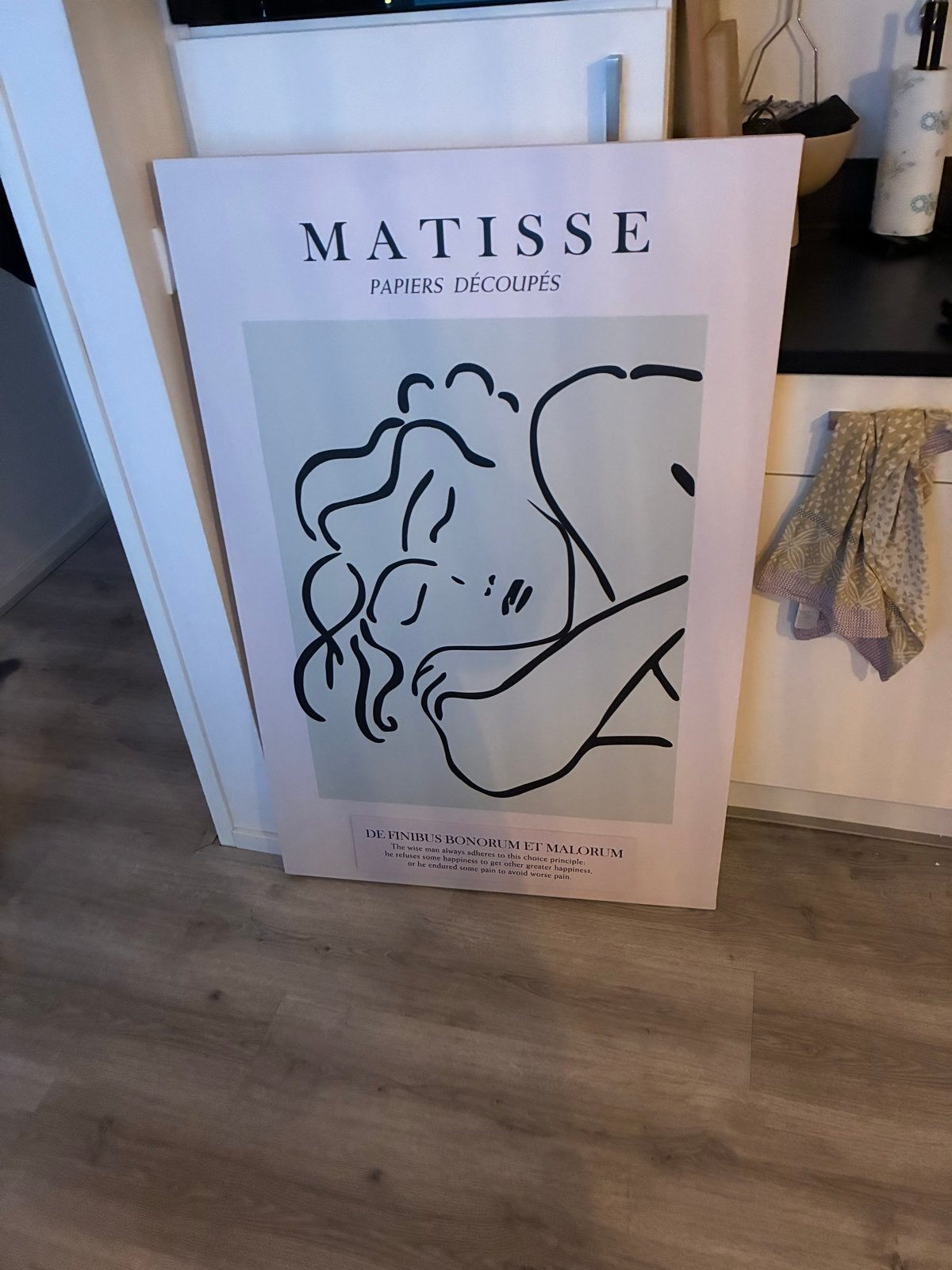Matisse schilderij groot, Oorspronkelijke maker, Ophalen of Verzenden, Zo goed als nieuw, Foto of Poster