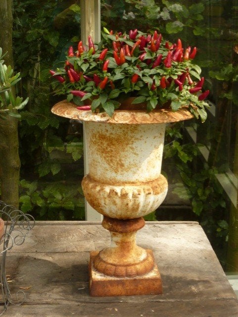 1 antieke CREME GIETIJZEREN TUINVAAS (heb er 2) / tuin, Antiek en Kunst, Ophalen