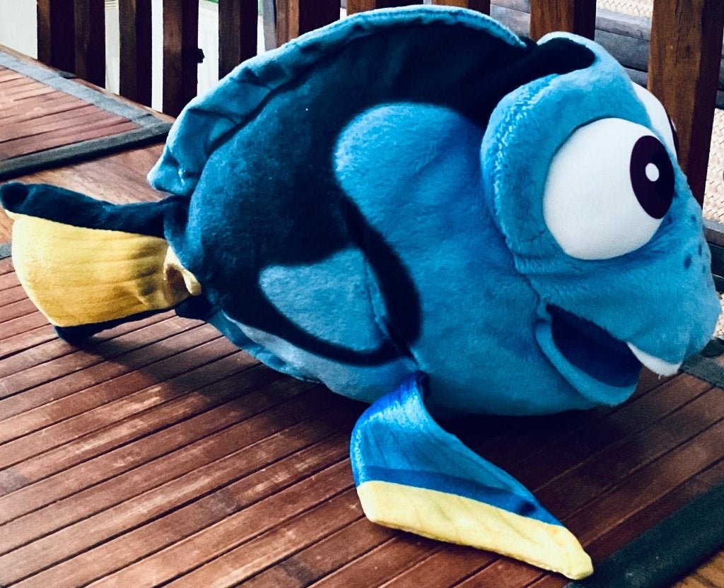 Dory - Disney Finding Nemo, Disney, Verzenden, Overige typen, Blauw