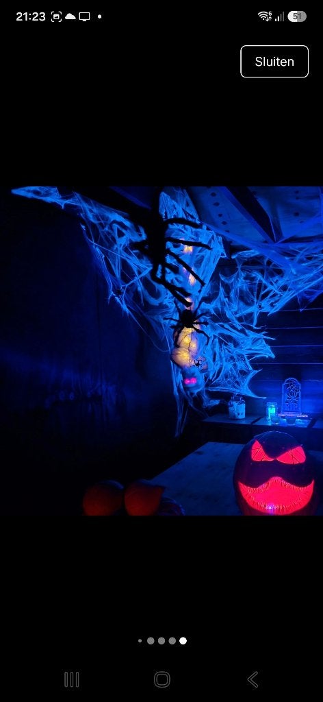 Halloween DEKO t.w.v. €175,-, Ophalen of Verzenden, Gebruikt, Feestartikel, Halloween of Griezel