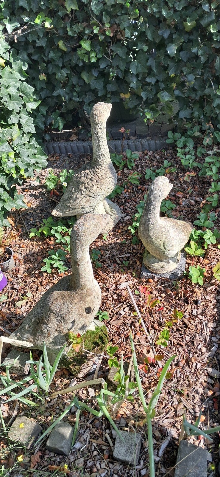 3 stenen ganzenbeelden voor de tuin, Tuin en Terras, Ophalen, Gebruikt, Steen, Dierenbeeld