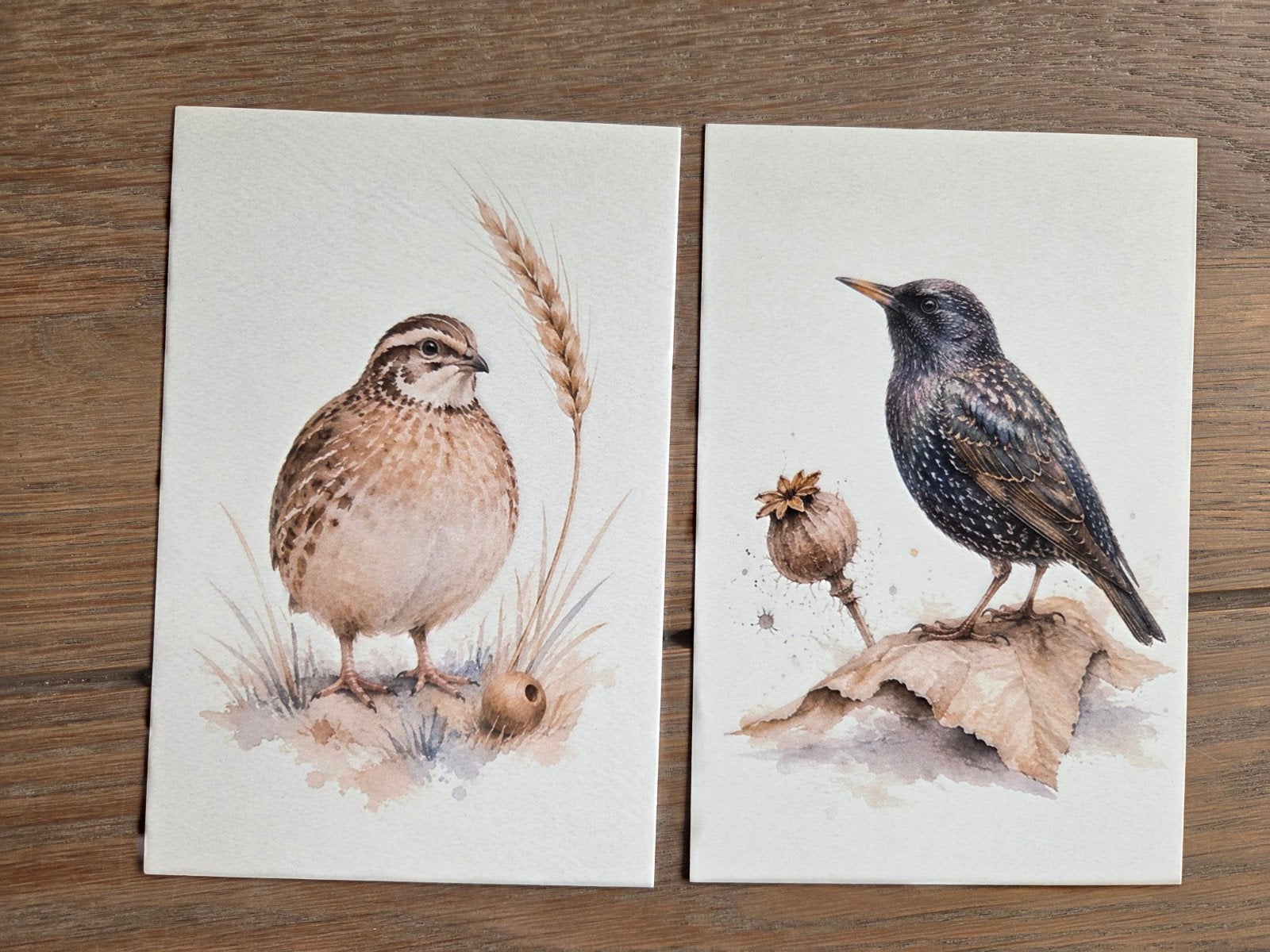 VOGELS 1, Ophalen, Vogel