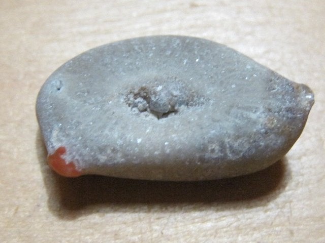 e. 2x aparte edelsteen HOORNKORAAL (4), Verzenden, Nieuw