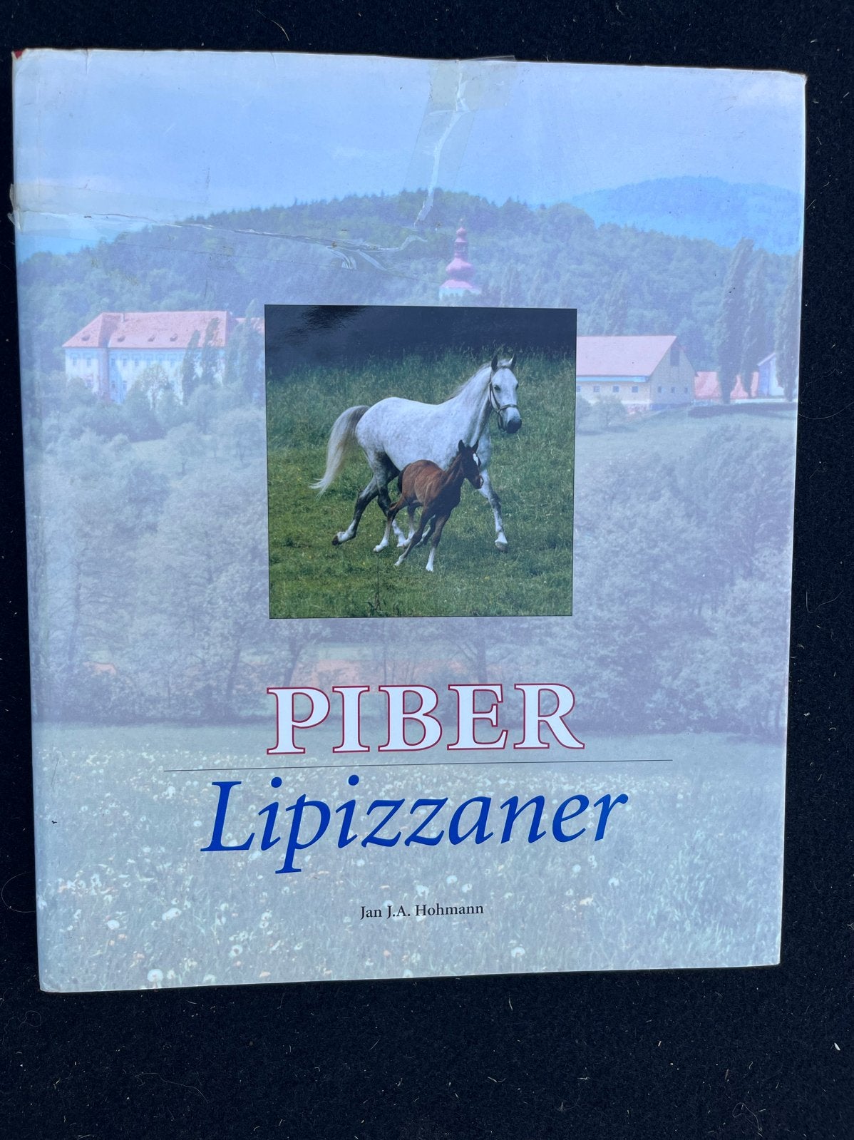Piber Lipizzaner - Jan J.A. Hohmann, Ophalen of Verzenden, Zo goed als nieuw, Overige onderwerpen