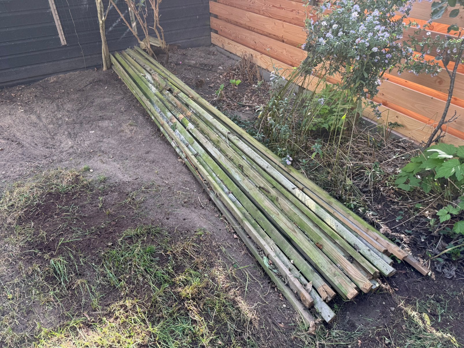350 meter schuttinglatjes, gratis afhalen, Tuin en Terras, Ophalen, Gebruikt, Hout, Tuinhek