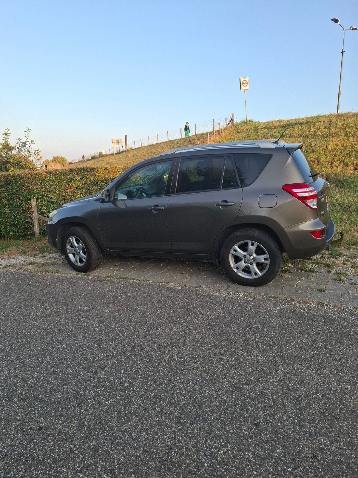 Toyota Rav4 2.0 Vvt-i 4WD 2010 Bruin, 13 km/l, Euro 5, Stof, Zwart