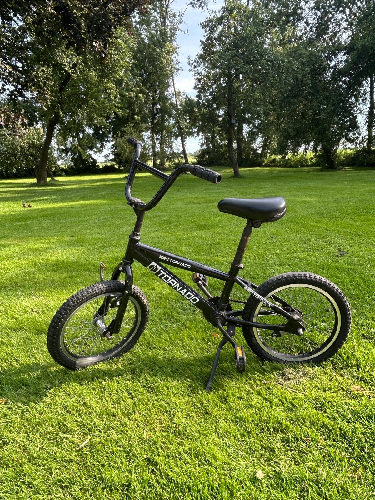 Mini BMX, Fietsen en Brommers, Terugtraprem, Gebruikt, Staal, Stuur 360° draaibaar