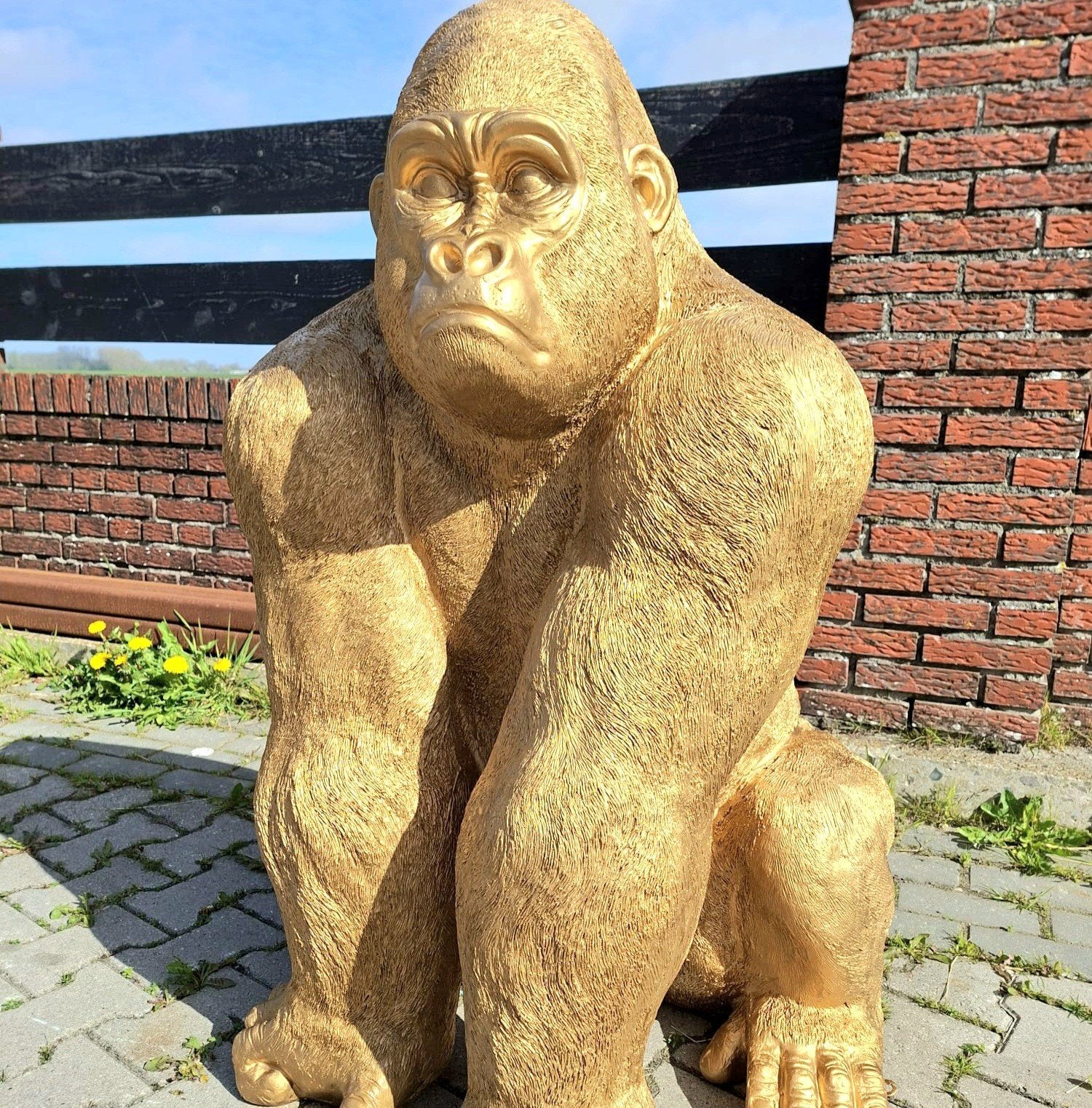 Gouden gorilla, Olifant, Leeuwen apen Polyester tuinbeelden, Ophalen, Nieuw, Kunststof, Dierenbeeld