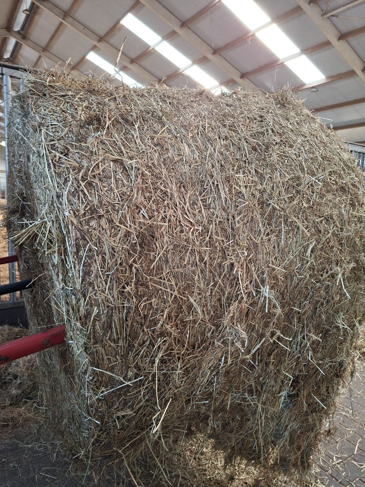 hooi, Ophalen of Verzenden, Vee