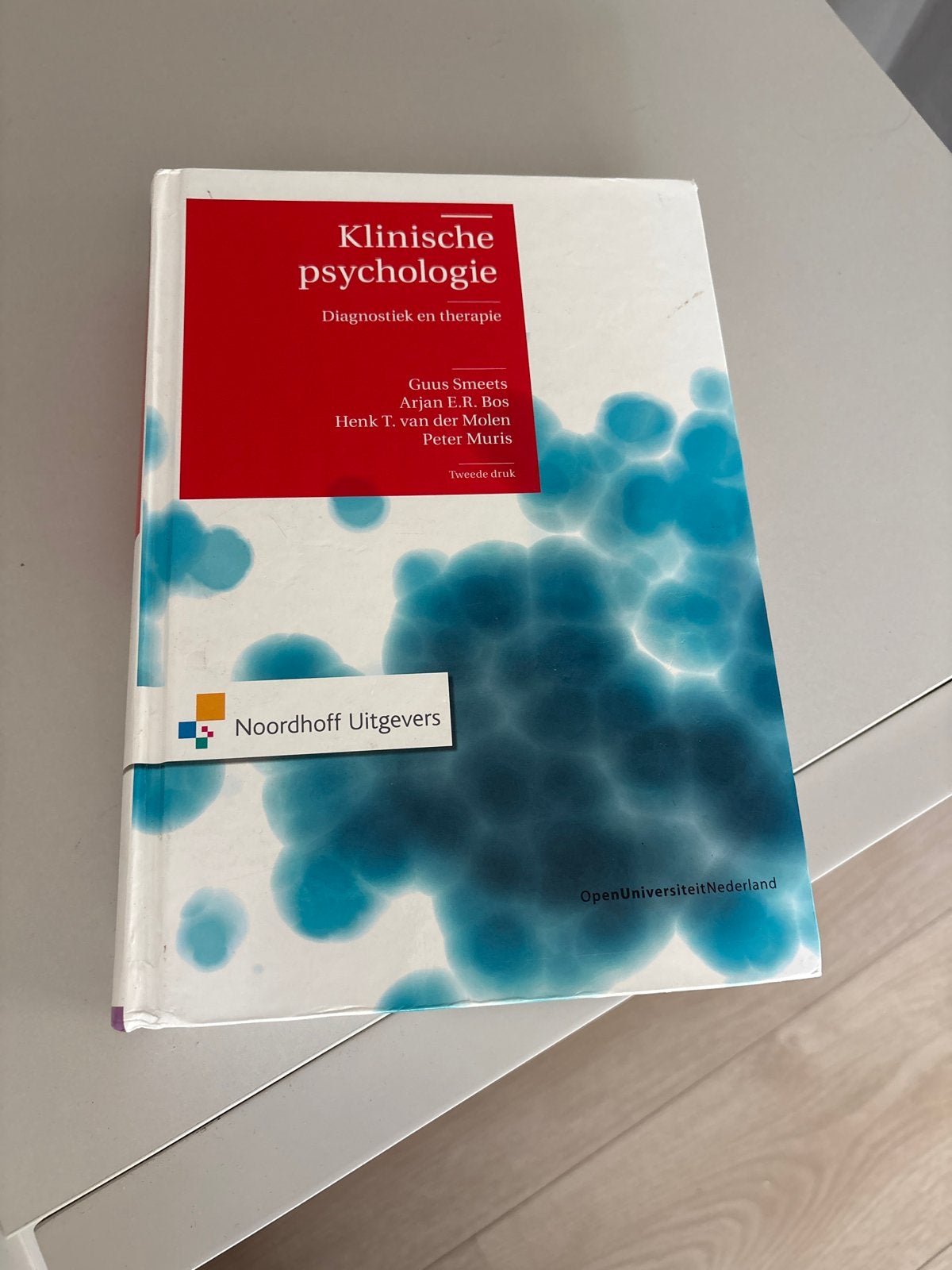 Klinische psychologie: Diagnostiek en therapie (Tweede druk), Boeken, Ophalen of Verzenden, Zo goed als nieuw, Klinische psychologie