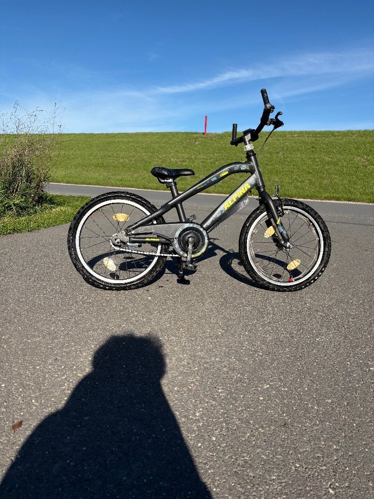 Jongens fietsje Alpina, Ophalen, Terugtraprem, Gebruikt, Alpina
