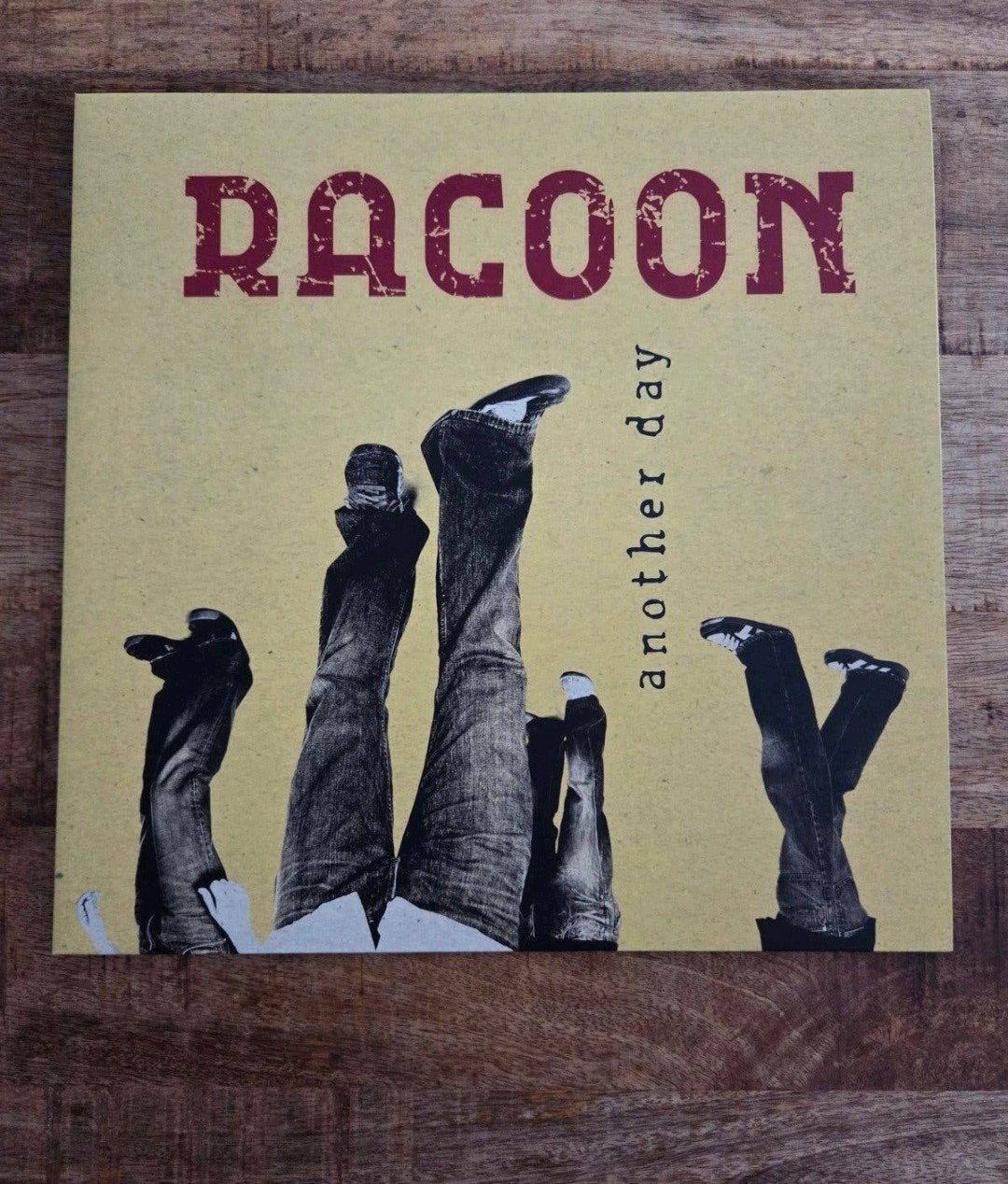 lp racoon another day, Ophalen of Verzenden, Zo goed als nieuw, 12 inch, LP