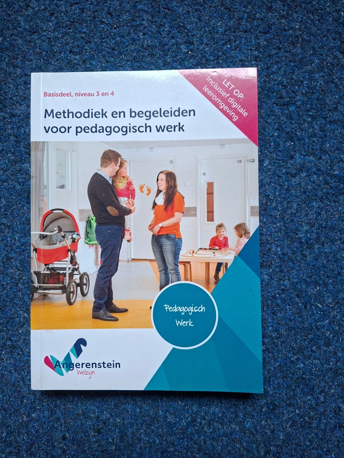 Methodiek en begeleiden voor pedagogisch werk, Ophalen of Verzenden, Beta, Zo goed als nieuw, MBO