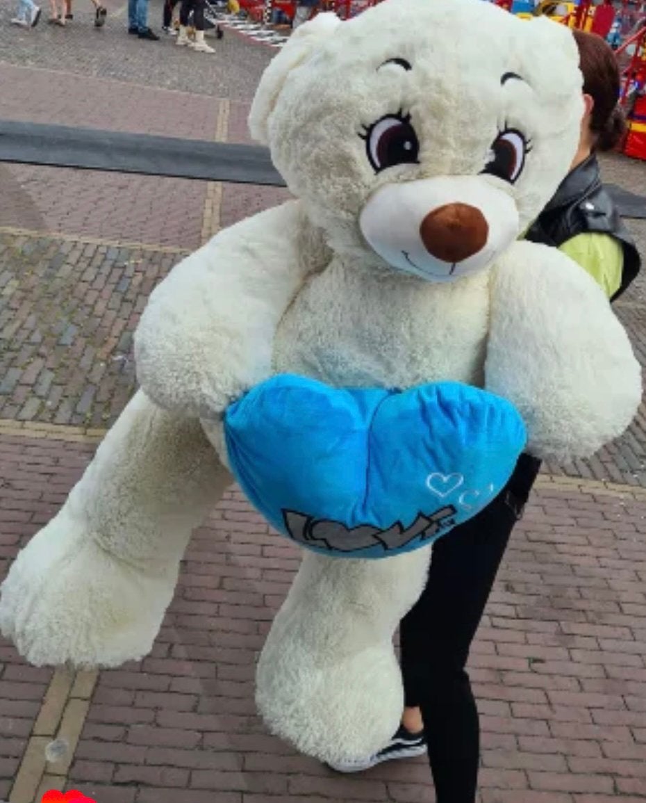 Grote knuffelbeer, Ophalen, Zo goed als nieuw, Beer