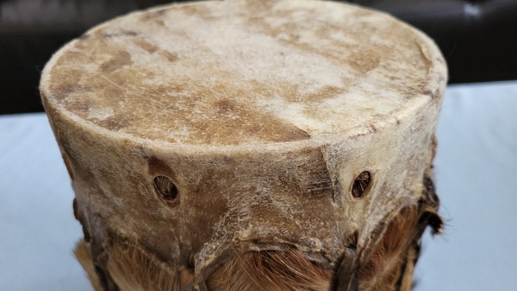 Afrikaanse Originele Lederen Djembe ~ trommel ~, Muziek en Instrumenten, Ophalen of Verzenden, Zo goed als nieuw, Trommel