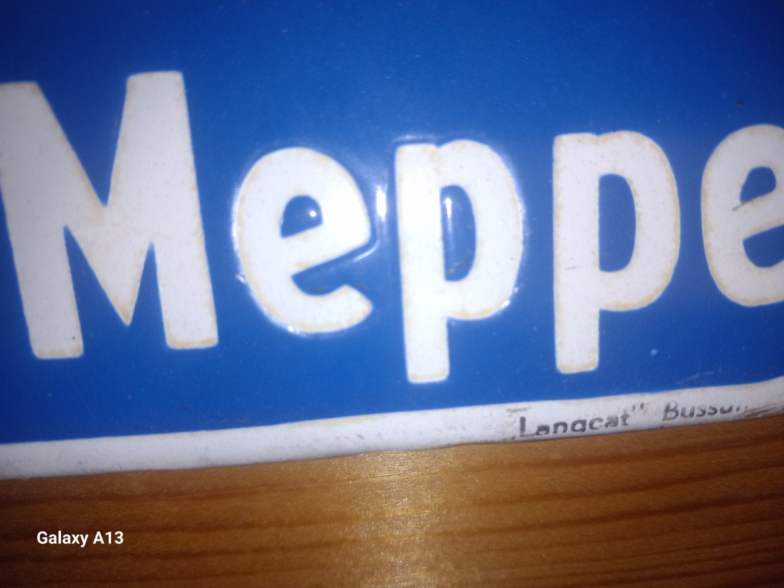 Vintage Emaille Reclamebord Germaan Rijwielen Meppel, Ophalen