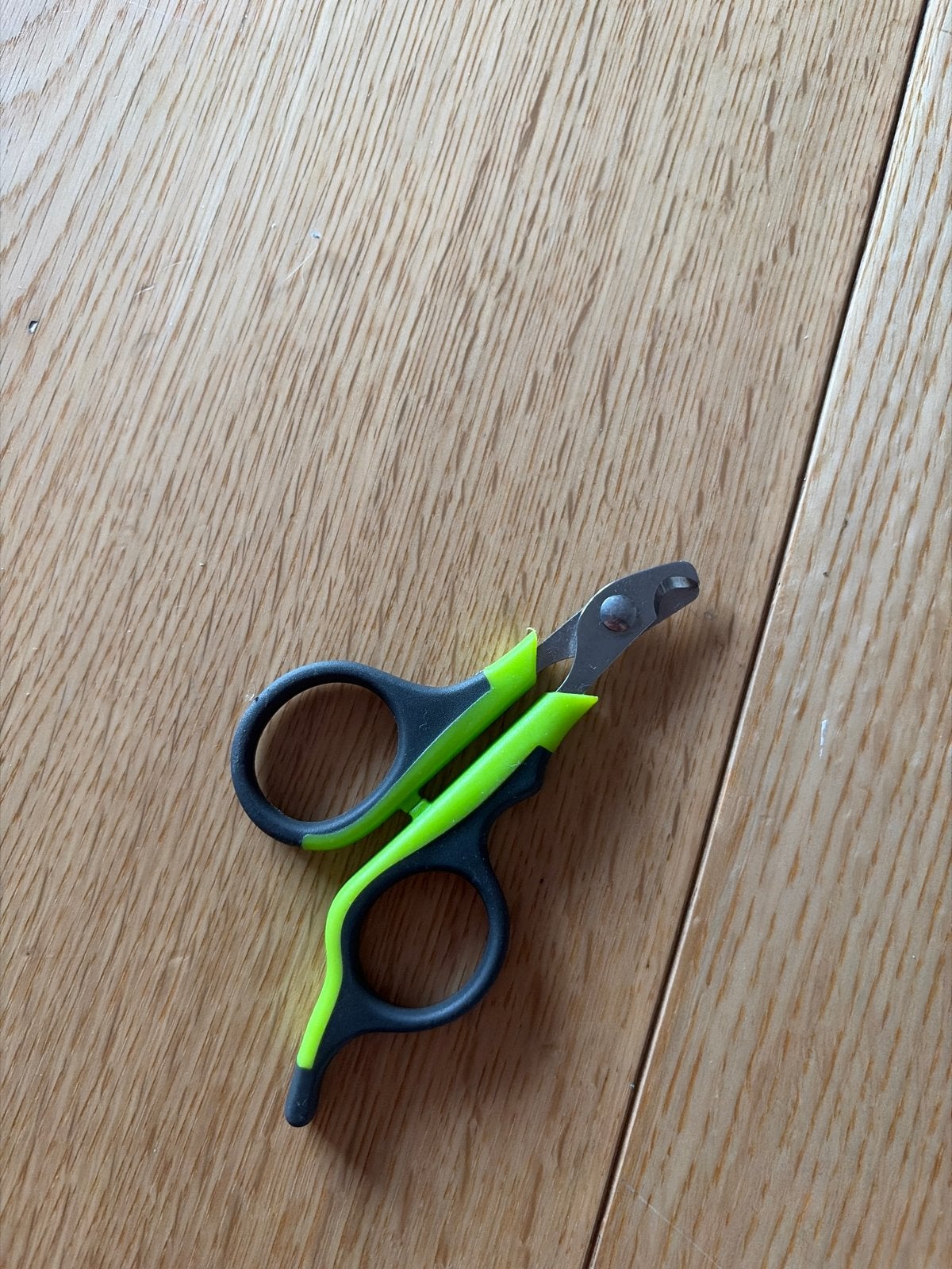 Nagelschaar knaagdieren, Ophalen of Verzenden, Zo goed als nieuw, Verzorging