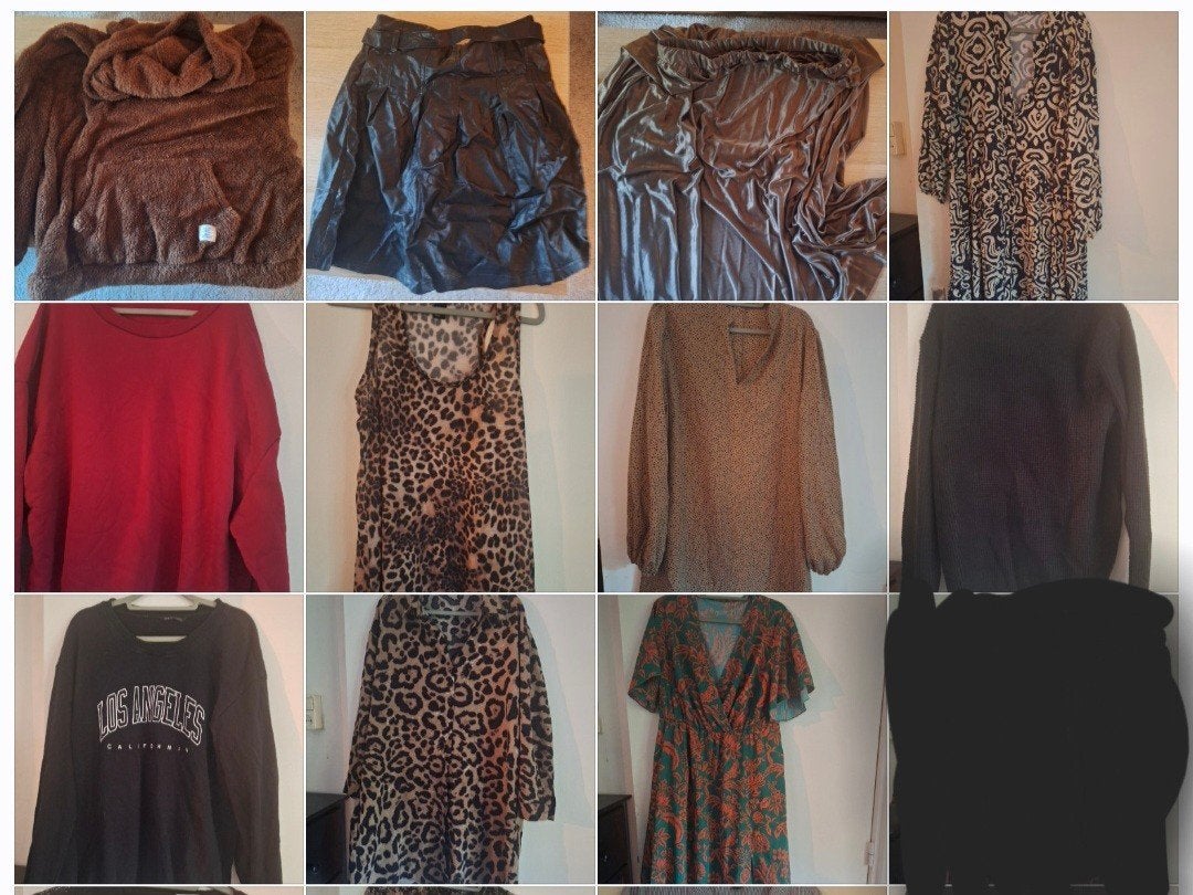 Kledingpakket dames (29 items), Ophalen of Verzenden, Gedragen, Maat 46/48 (XL) of groter