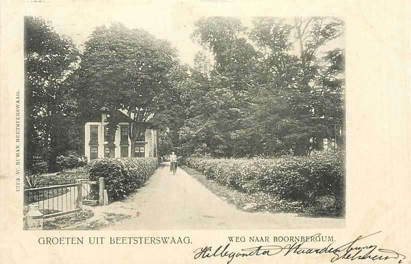 380-805-009 Beetsterzwaag Weg naar Boornbergum, Verzenden, Voor 1920, Friesland