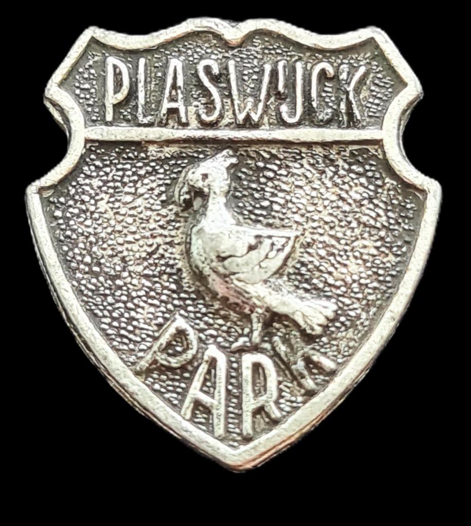 Plaswijck Park speld- zilverkleur, Verzamelen, Ophalen of Verzenden, Nieuw, Stad of Land, Speldje of Pin