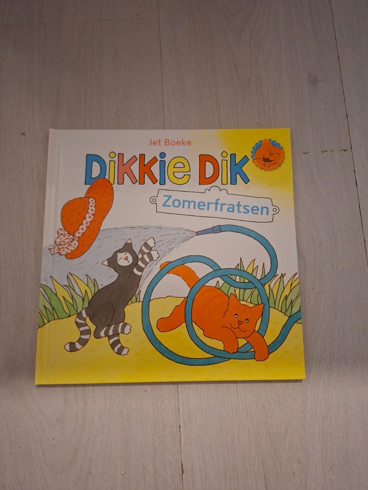 dikkie dik boekjes, Ophalen of Verzenden, Zo goed als nieuw, 1 tot 2 jaar