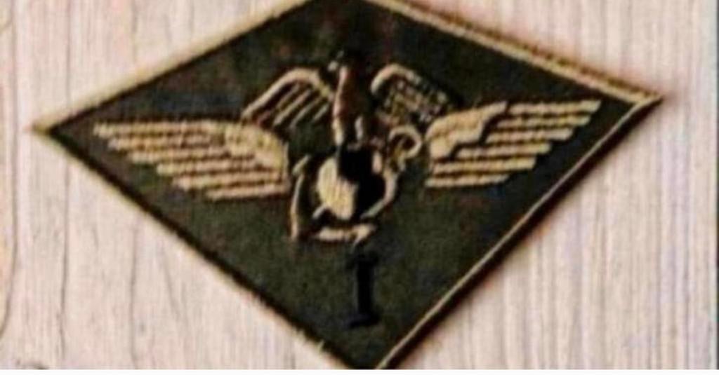 Wing USMC 1rd Air Wing Embleem, Verzenden, Marine, Amerika, Embleem of Badge