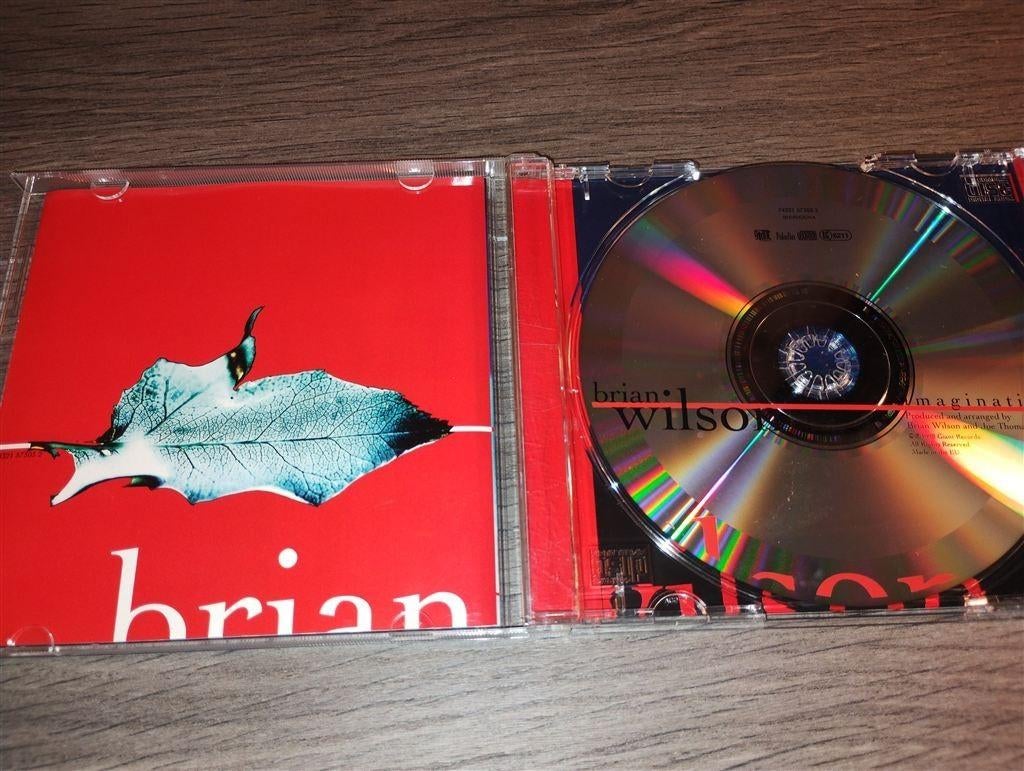 Brian Wilson - Imagination, Ophalen of Verzenden, Zo goed als nieuw