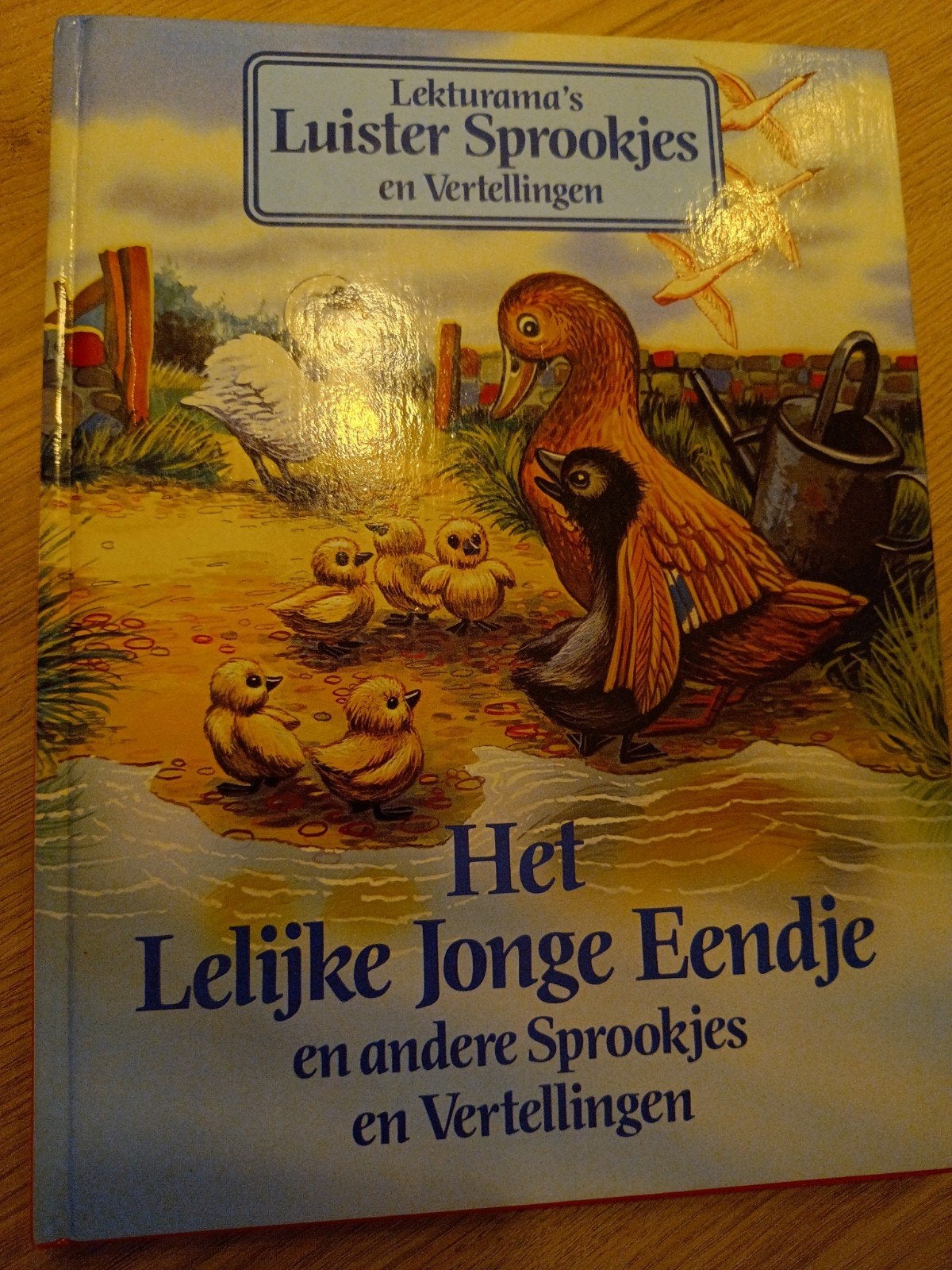 Het Lelijke Jonge Eendje en andere Sprookjes, Boeken, Sprookjes en Fabels, Gelezen, Ophalen of Verzenden