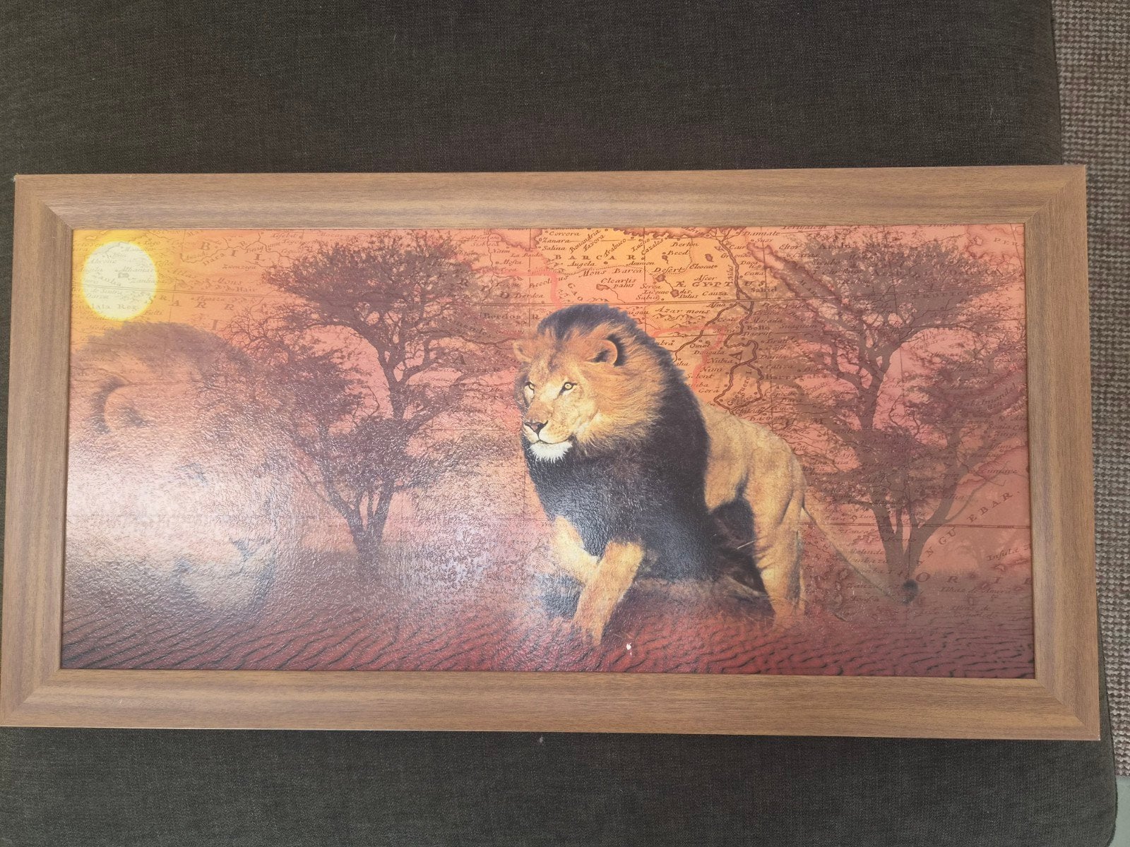 Leeuwen schilderij met Afrikaanse kaart achtergrond, Ophalen of Verzenden, Zo goed als nieuw, Schilderij, 5 – 50