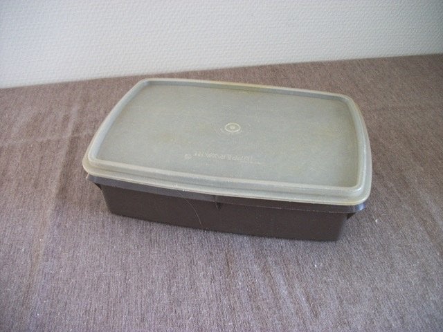 Tupperware Hobby Doos ( bruin, 24 lang, 16 breed, 7 hoog ), Huis en Inrichting, Ophalen of Verzenden, Gebruikt, Bruin, Overige typen