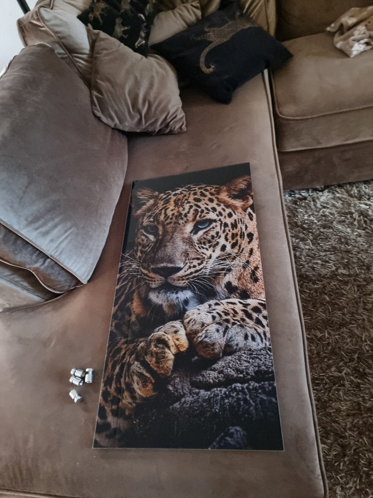 Schilderij, Ophalen, Dieren