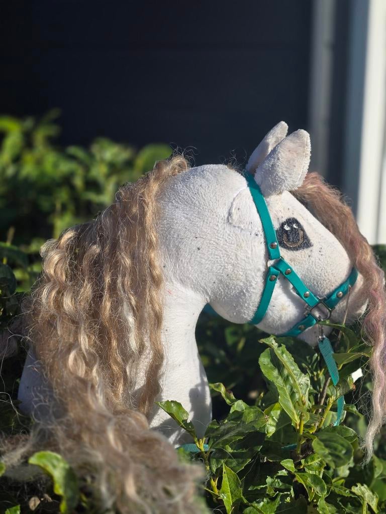 Unieke Hobby Horse Tinker met Hoofdstel - Niet in Winkel, Ophalen of Verzenden, Gebruikt, Jongen of Meisje