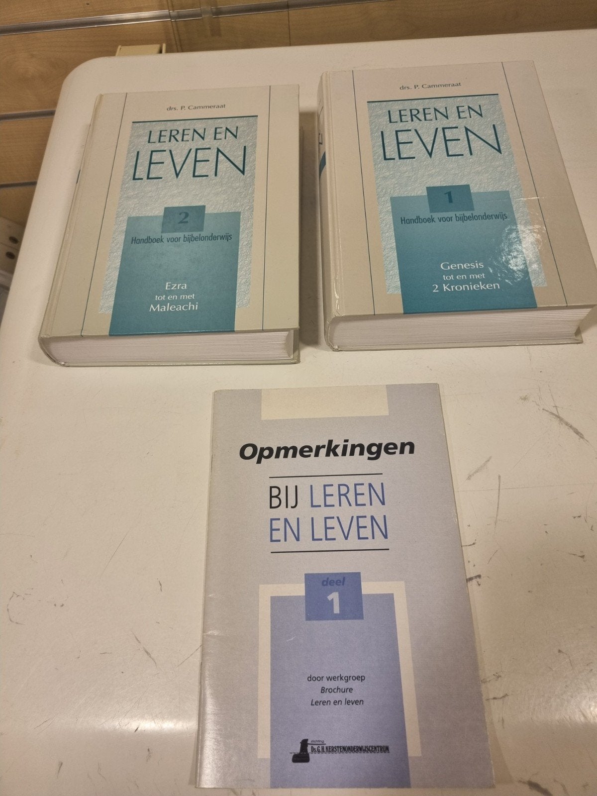 Drs. P. Cammeraat.Leren en leven. Deel I en 2 en opmerkingen, Boeken, Ophalen of Verzenden, Gelezen, Christendom | Katholiek