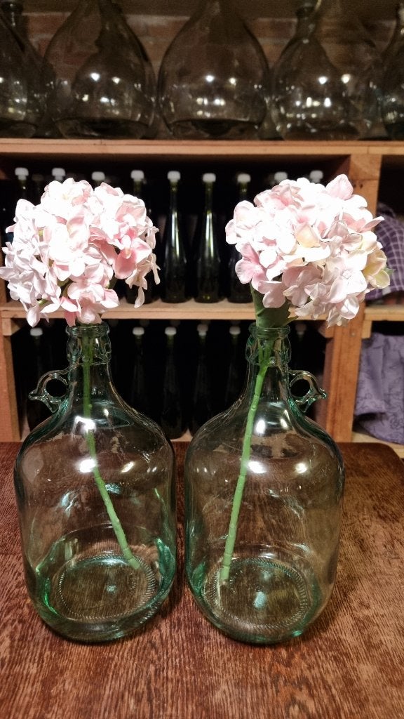 Wijn gist fles 5 liter lichtgroen 6 stuks, Ophalen