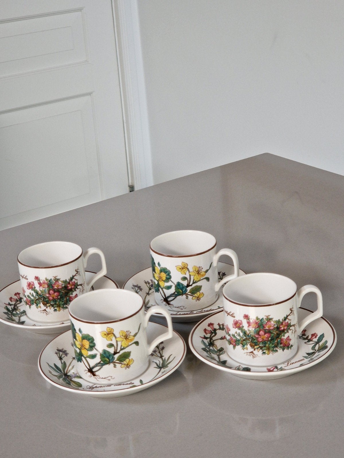 4 Espressokopjes Villeroy en Boch Botanica, Huis en Inrichting, Keuken | Servies, Ophalen of Verzenden, Zo goed als nieuw, Overige stijlen