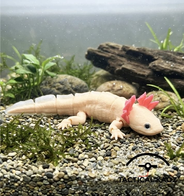 3D geprinte Flexibele Axolotl, Ophalen of Verzenden, Nieuw