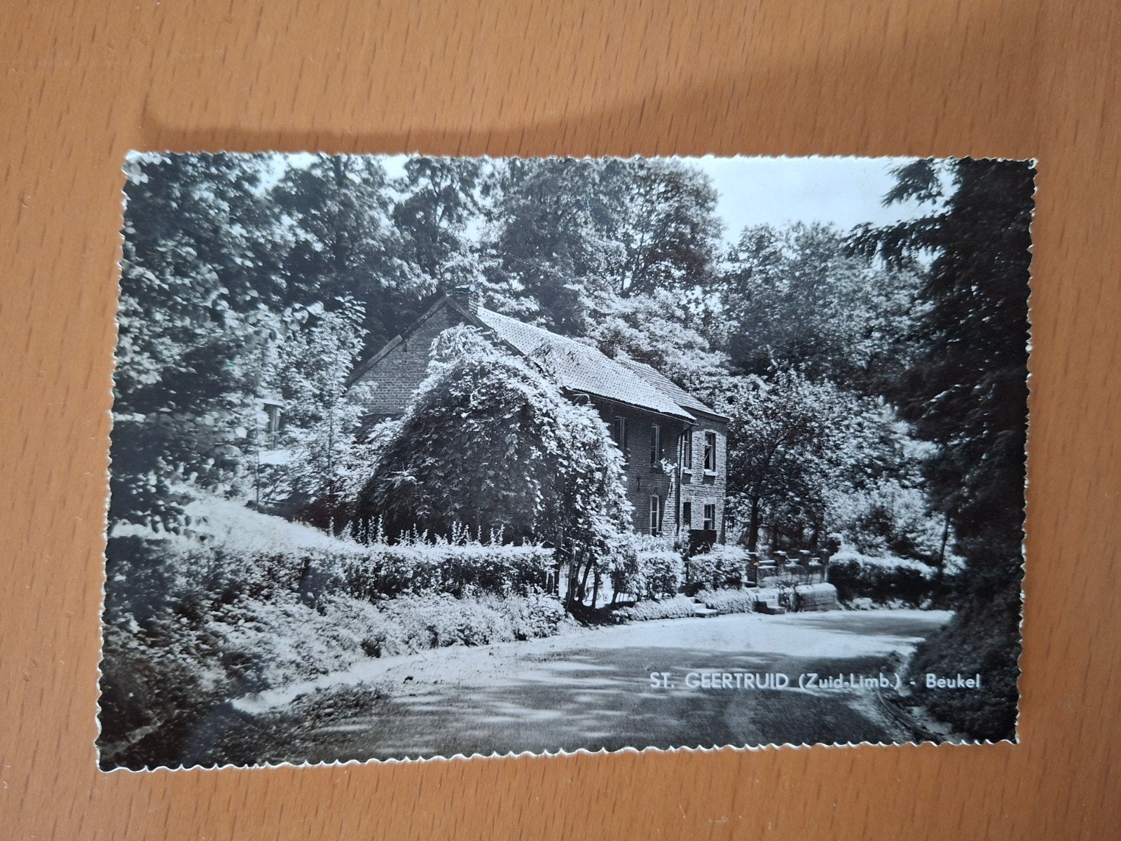 Ansichtkaart Sint Geetruid, Ophalen of Verzenden, 1940 tot 1960, Ongelopen, Limburg