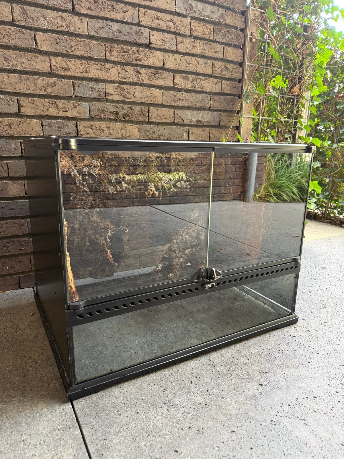 Terrarium 60x45x45 incl. toebehoren, Dieren en Toebehoren, Ophalen, Zo goed als nieuw, Terrarium of Paludarium