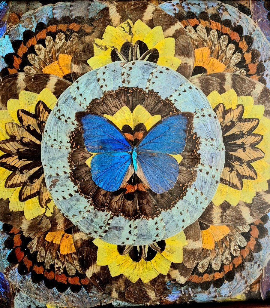 Art Deco-dienblad met echte vlinders 1920 - groot formaat!, Ophalen of Verzenden
