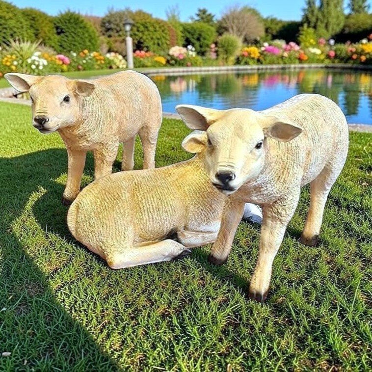 Schapen beeld schaap, lammeren, kalf beeld, lam, lammetje, Ophalen, Nieuw, Dier