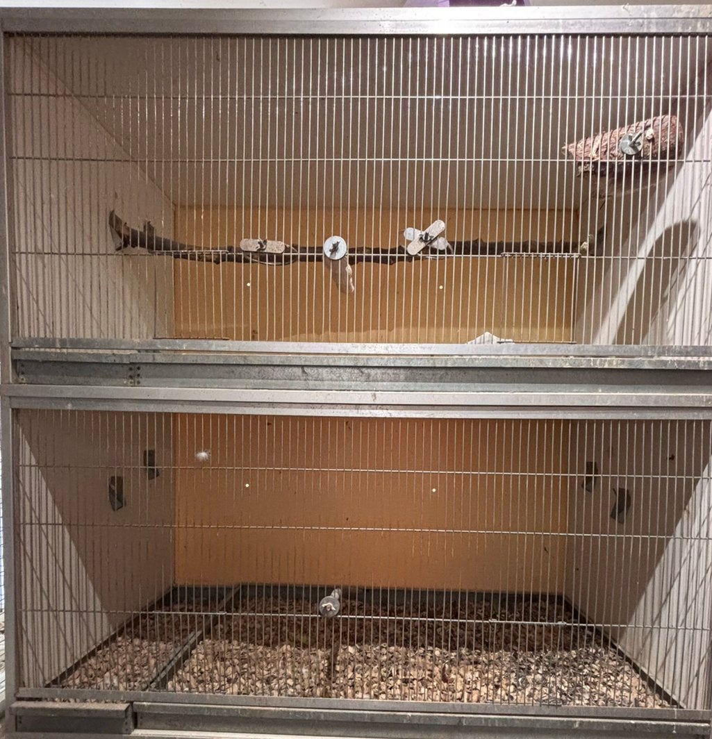 Van keulen, Dieren en Toebehoren, Ophalen, Zo goed als nieuw, Hout, Broedkooi of Kweekkooi