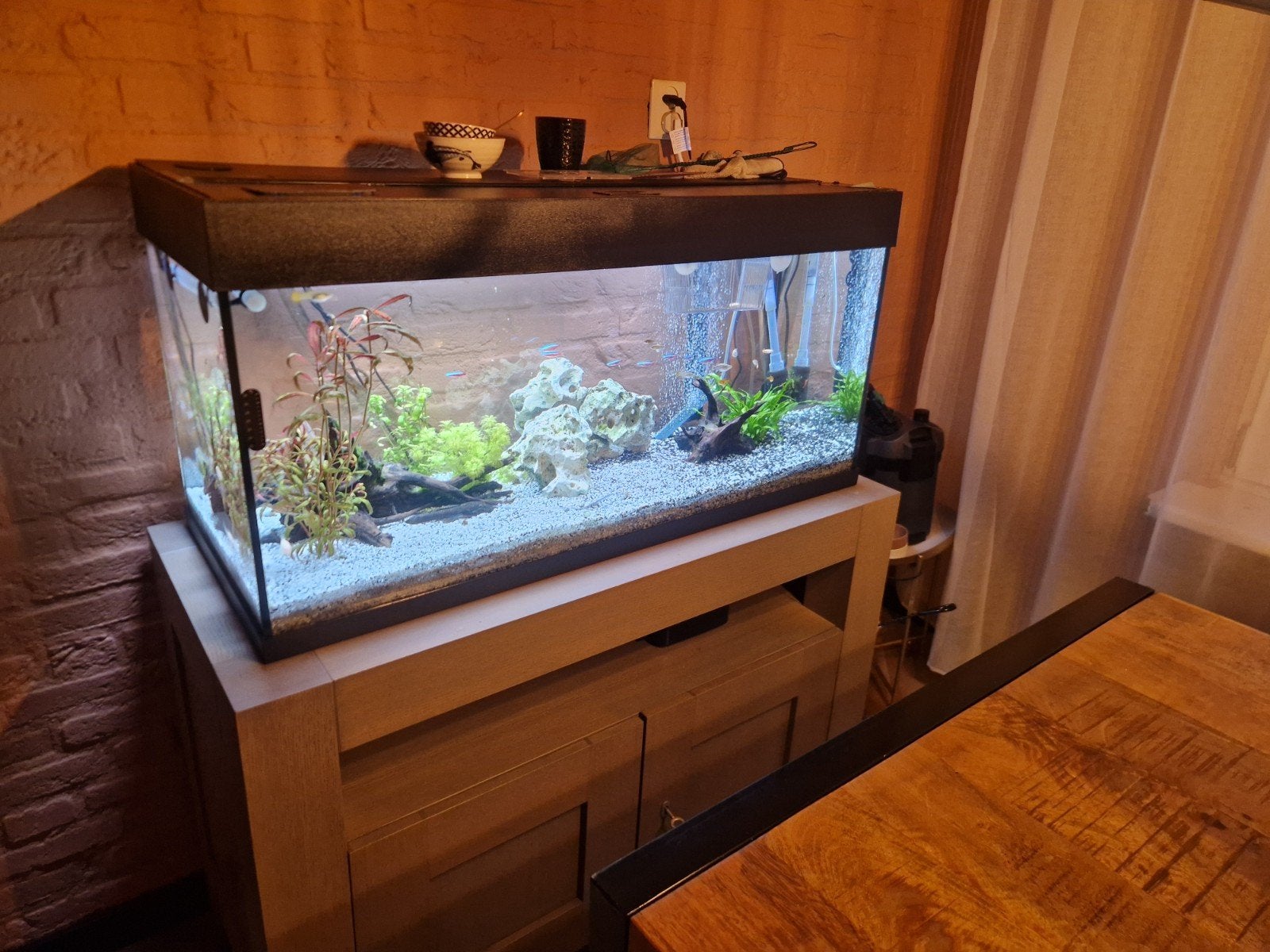 vissen met of zonder aquarium en kast, Ophalen